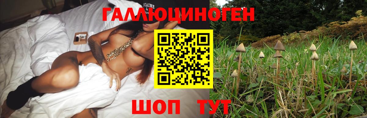 Псилоцибиновые грибы прущие грибы  Вход с VPN  Зима 