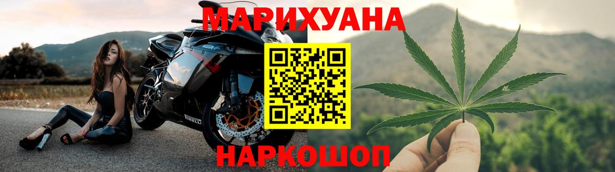 Бошки Шишки гибрид Зима
